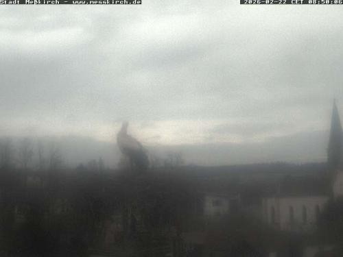 Archiv Foto Webcam Storchennest Rathaus Meßkirch
