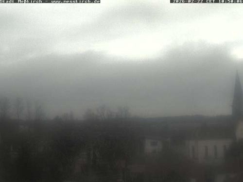 Archiv Foto Webcam Storchennest Rathaus Meßkirch