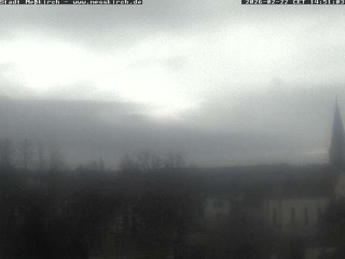 Archiv Foto Webcam Storchennest Rathaus Meßkirch
