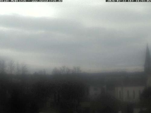 Archiv Foto Webcam Storchennest Rathaus Meßkirch