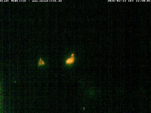 Archiv Foto Webcam Storchennest Rathaus Meßkirch