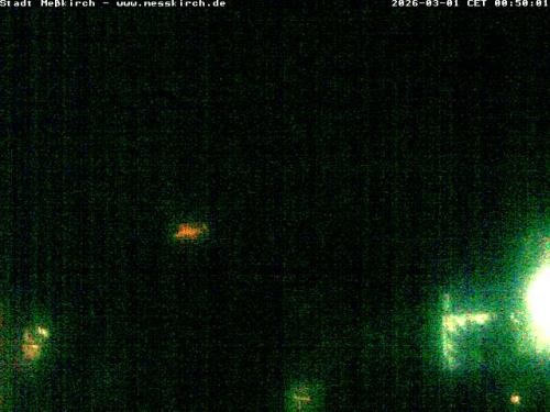 Archived image Webcam Stork Nest Meßkirch