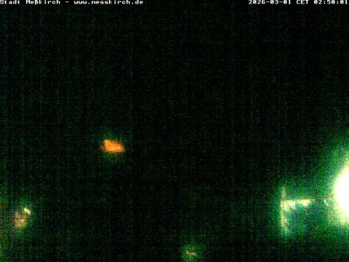 Archived image Webcam Stork Nest Meßkirch