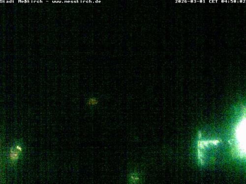 Archived image Webcam Stork Nest Meßkirch