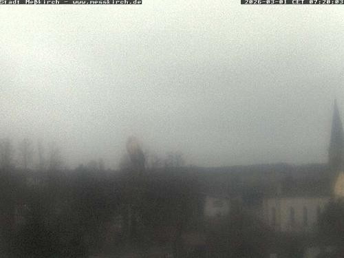 Archived image Webcam Stork Nest Meßkirch