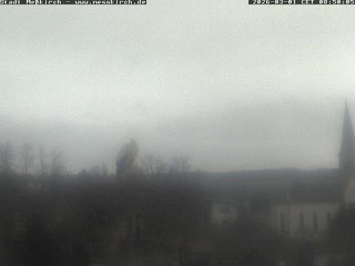 Archived image Webcam Stork Nest Meßkirch