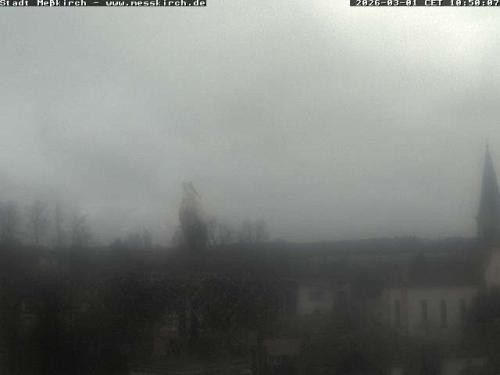Archived image Webcam Stork Nest Meßkirch