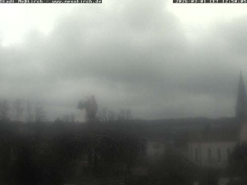 Archived image Webcam Stork Nest Meßkirch