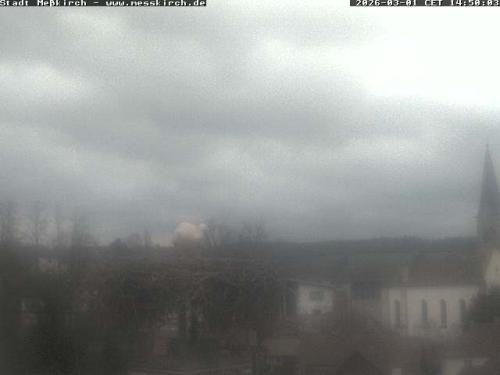 Archived image Webcam Stork Nest Meßkirch