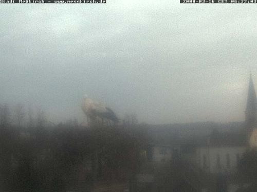 Archiv Foto Webcam Storchennest Rathaus Meßkirch