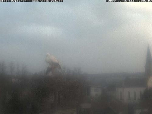Archiv Foto Webcam Storchennest Rathaus Meßkirch