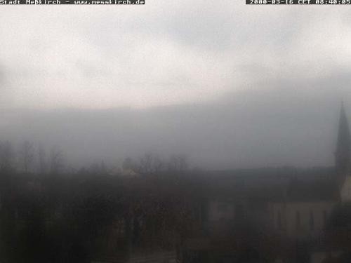 Archiv Foto Webcam Storchennest Rathaus Meßkirch