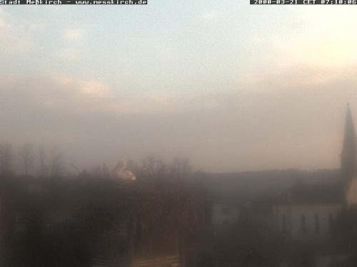 Archiv Foto Webcam Storchennest Rathaus Meßkirch