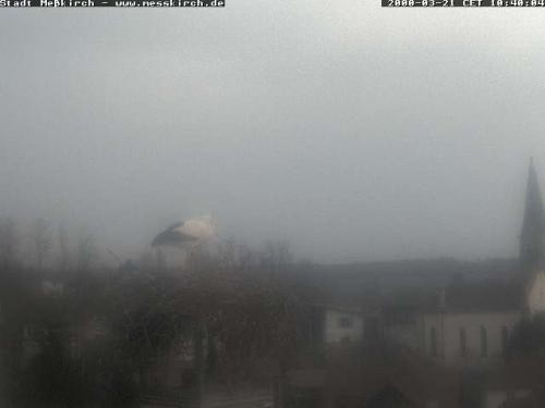 Archiv Foto Webcam Storchennest Rathaus Meßkirch