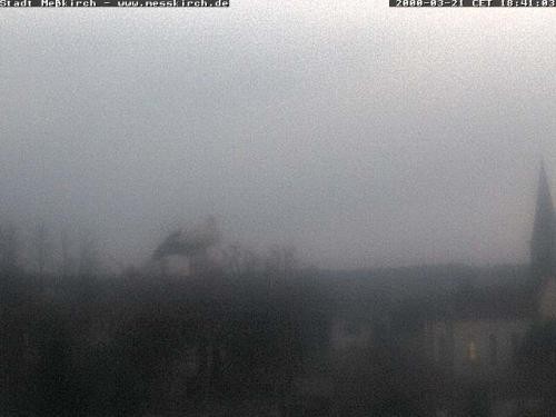 Archived image Webcam Stork Nest Meßkirch
