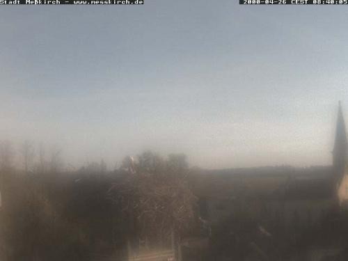 Archiv Foto Webcam Storchennest Rathaus Meßkirch