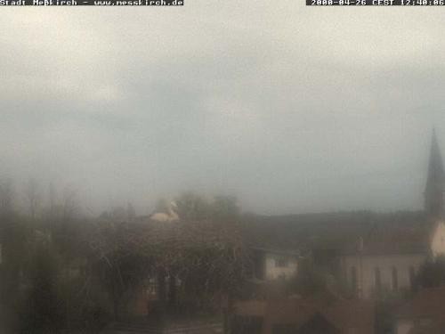 Archiv Foto Webcam Storchennest Rathaus Meßkirch