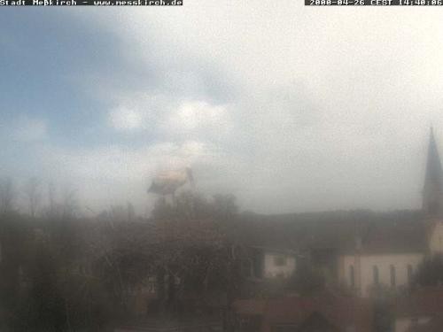 Archiv Foto Webcam Storchennest Rathaus Meßkirch