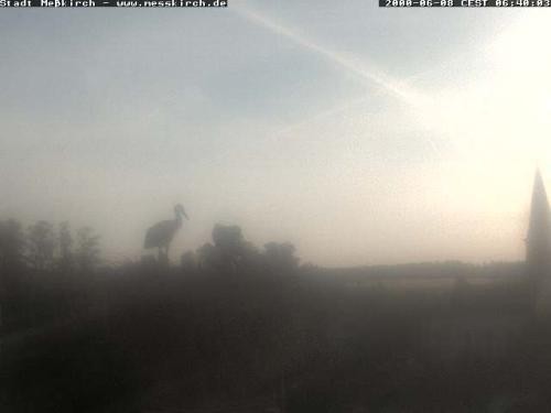 Archiv Foto Webcam Storchennest Rathaus Meßkirch