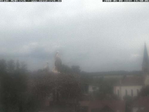 Archiv Foto Webcam Storchennest Rathaus Meßkirch