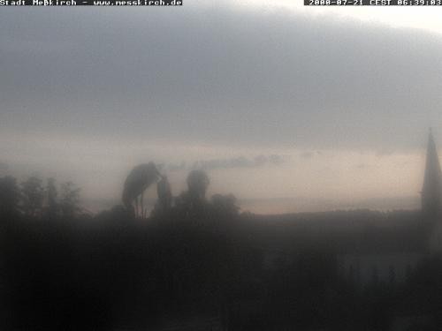 Archiv Foto Webcam Storchennest Rathaus Meßkirch