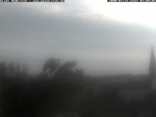 Archiv Foto Webcam Storchennest Rathaus Meßkirch