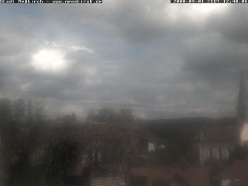 Archiv Foto Webcam Storchennest Rathaus Meßkirch