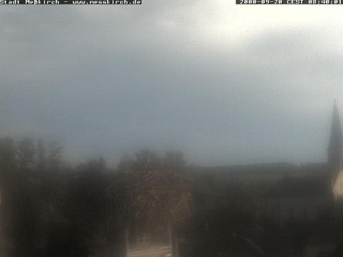 Archiv Foto Webcam Storchennest Rathaus Meßkirch
