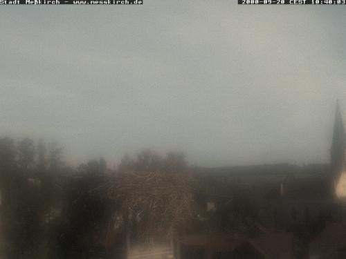 Archiv Foto Webcam Storchennest Rathaus Meßkirch