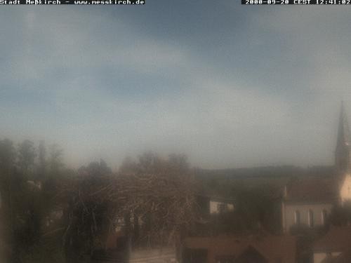 Archiv Foto Webcam Storchennest Rathaus Meßkirch