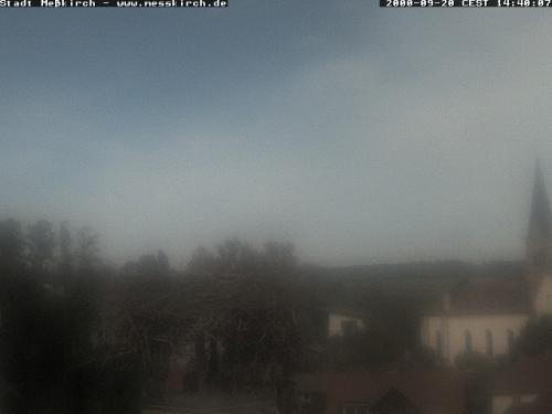 Archiv Foto Webcam Storchennest Rathaus Meßkirch
