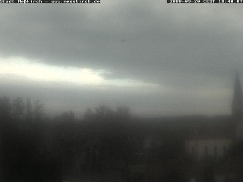 Archived image Webcam Stork Nest Meßkirch