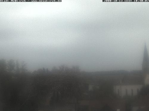 Archiv Foto Webcam Storchennest Rathaus Meßkirch