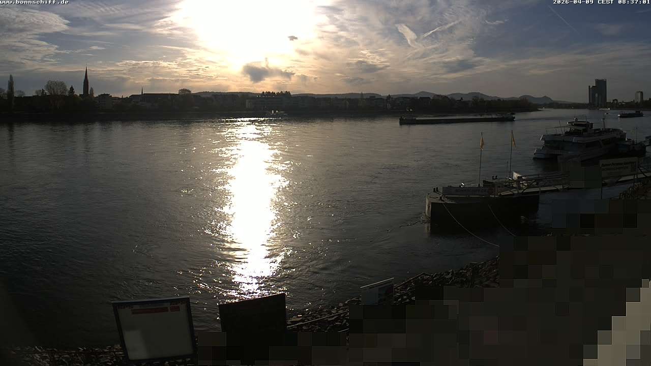 Archiv Foto Webcam Bonn - Brassert Ufer