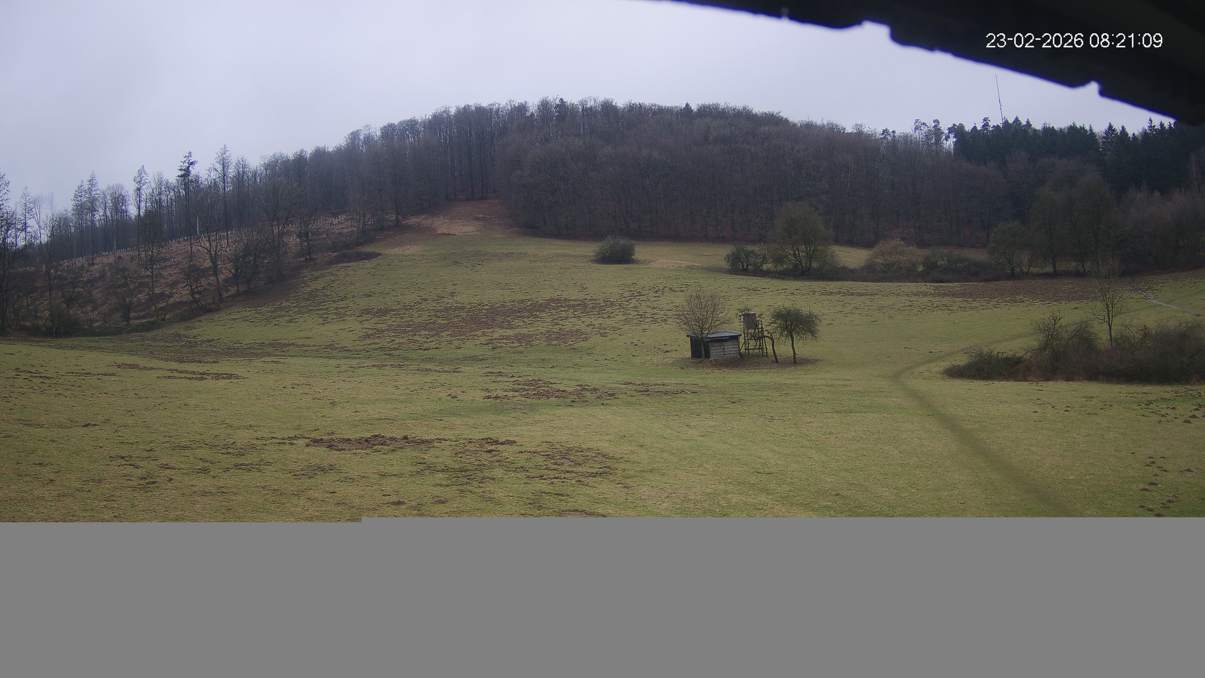 Archiv Foto Webcam Skilift Horn-Bad Meinberg