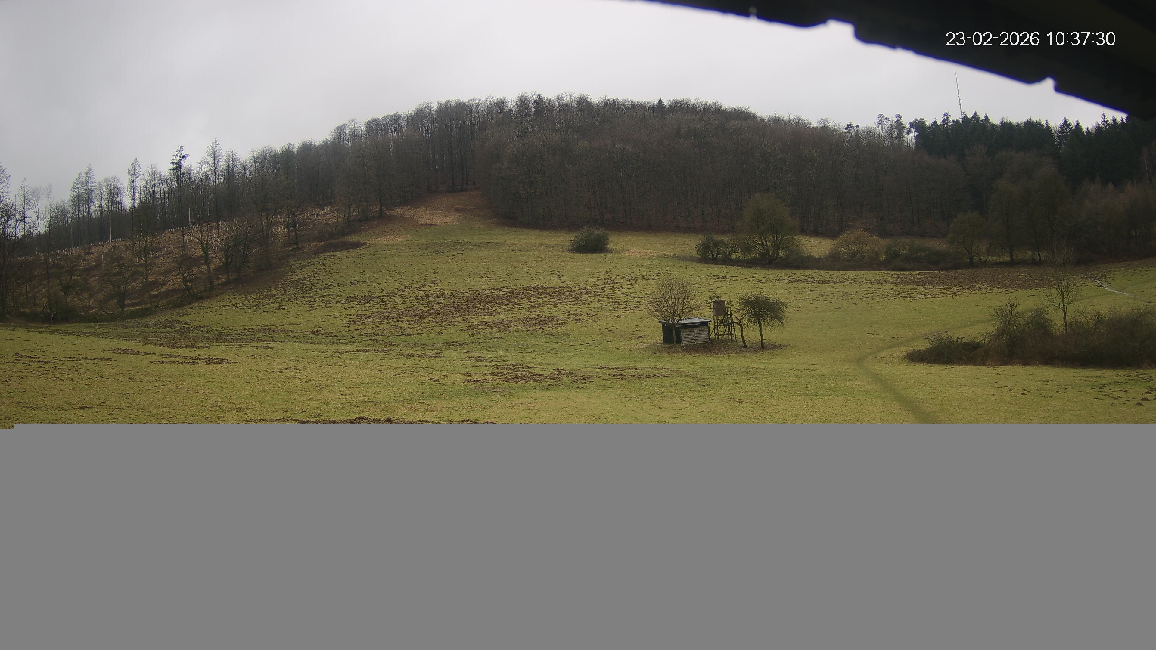 Archiv Foto Webcam Skilift Horn-Bad Meinberg