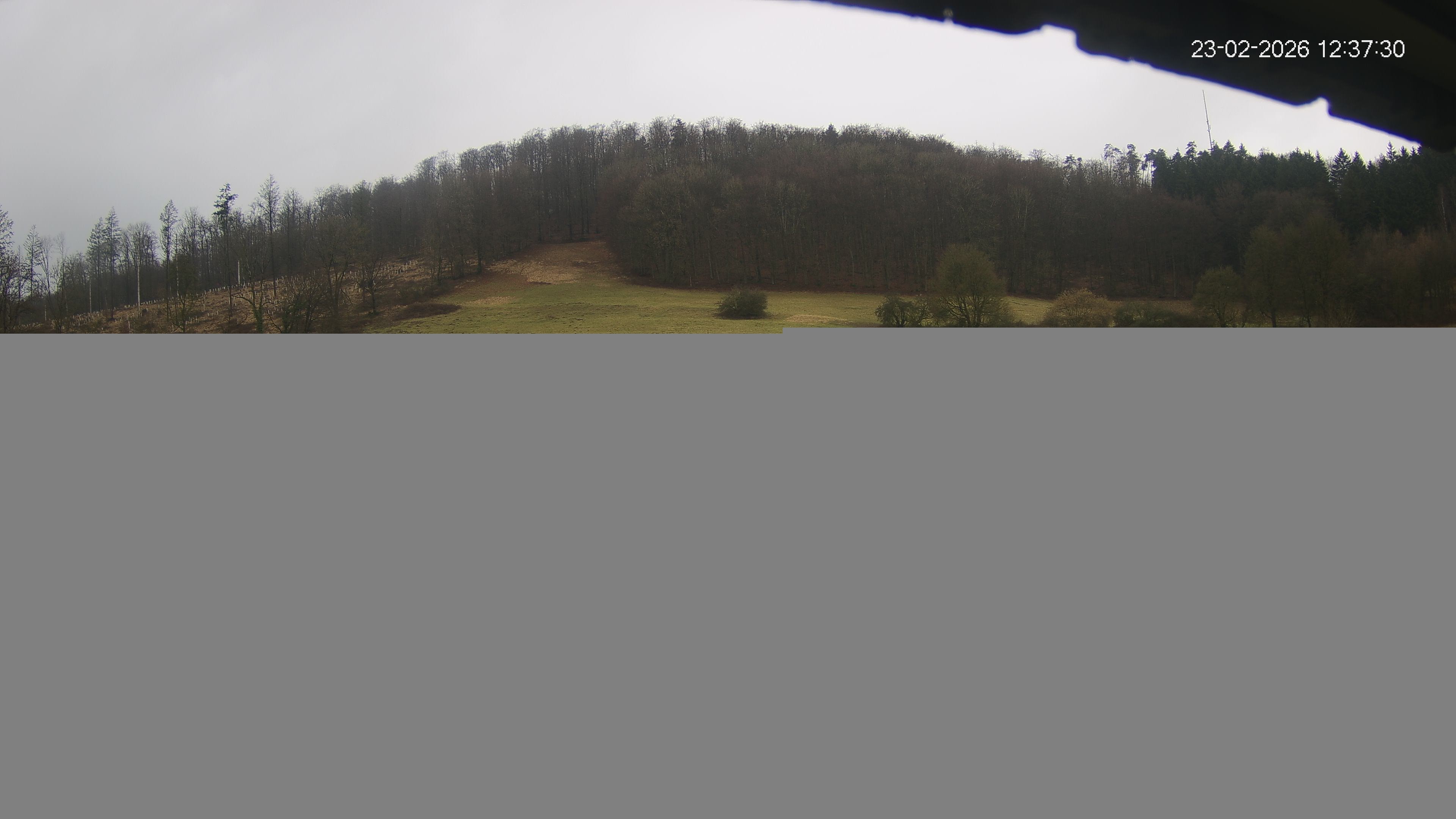 Archiv Foto Webcam Skilift Horn-Bad Meinberg