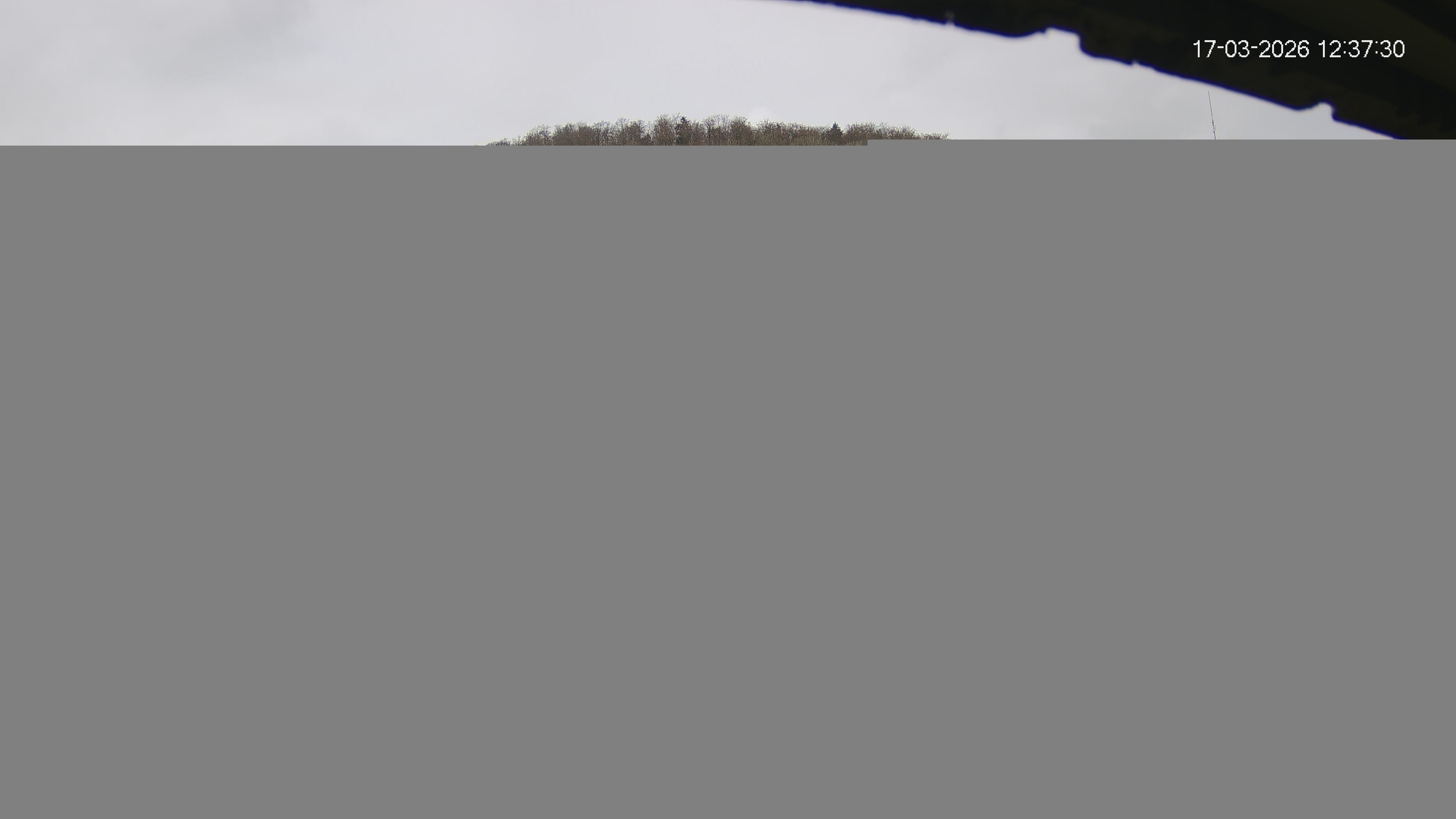 Archiv Foto Webcam Skilift Horn-Bad Meinberg