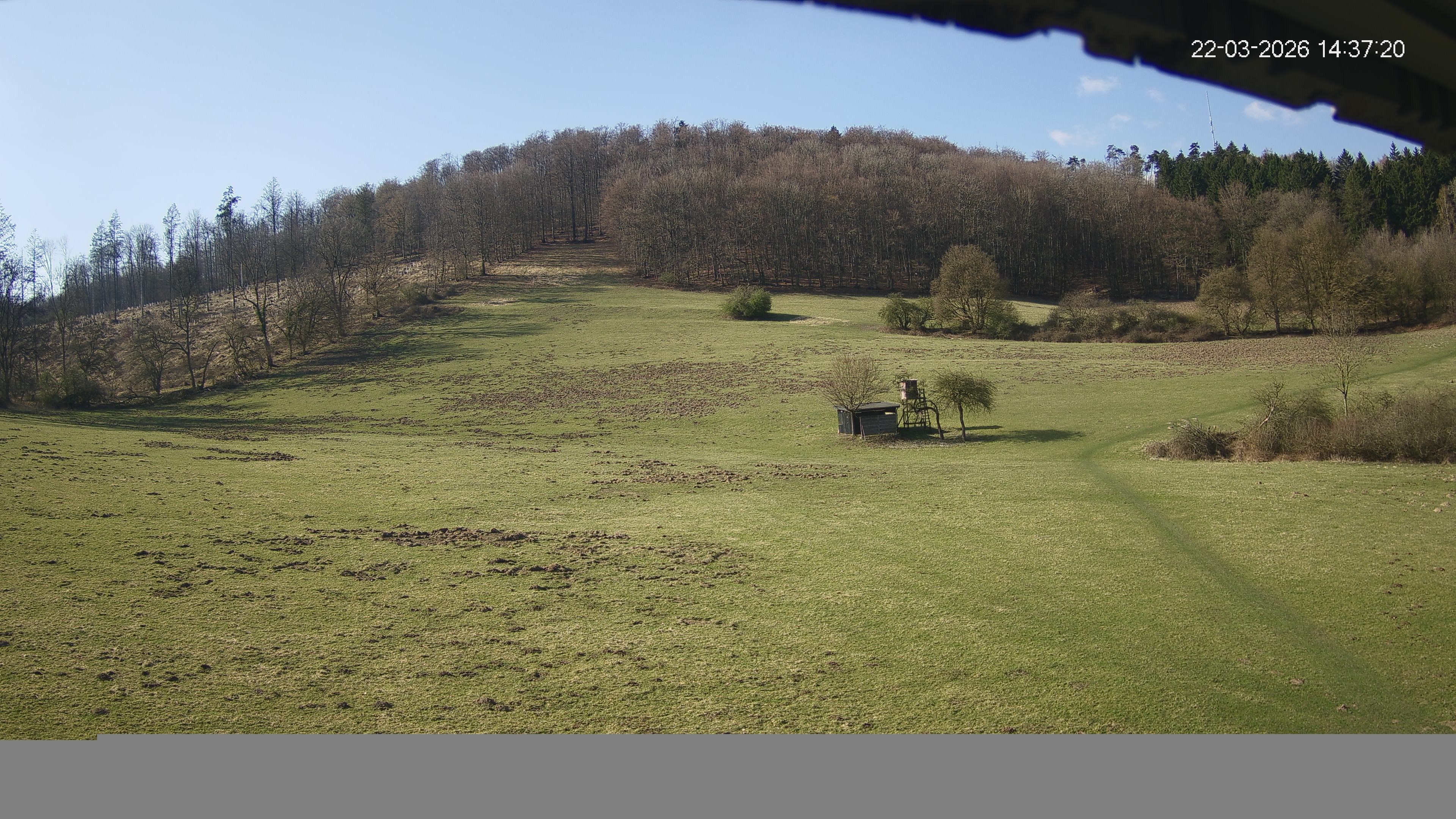 Archiv Foto Webcam Skilift Horn-Bad Meinberg