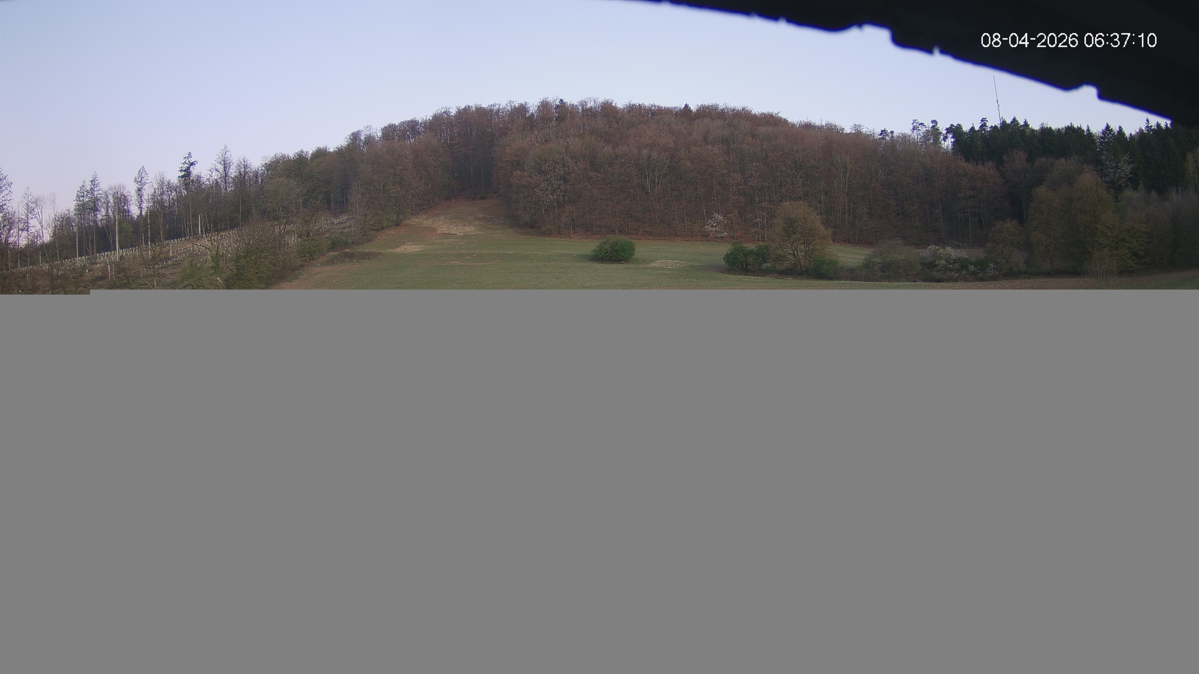 Archiv Foto Webcam Skilift Horn-Bad Meinberg