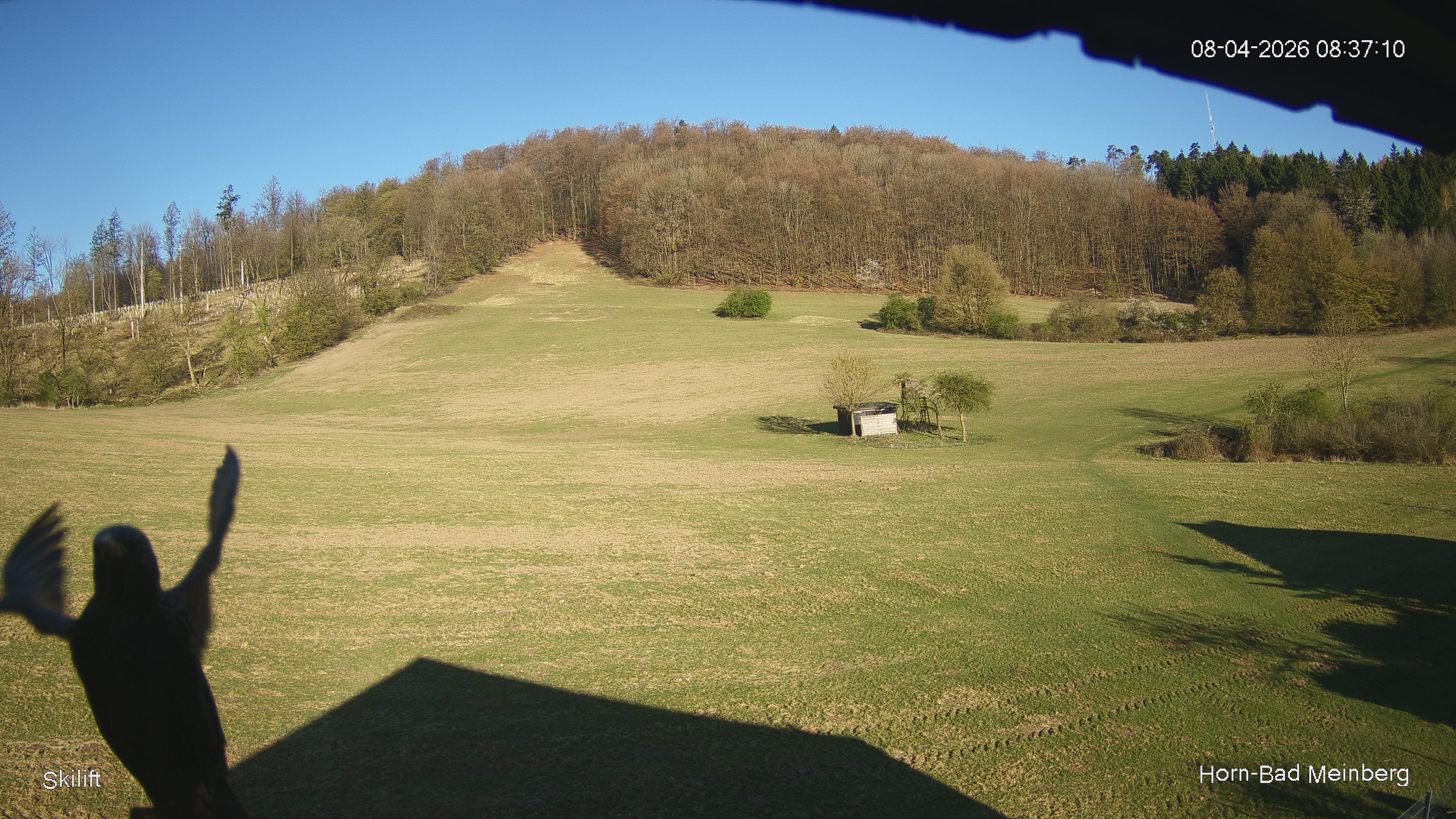 Archiv Foto Webcam Skilift Horn-Bad Meinberg