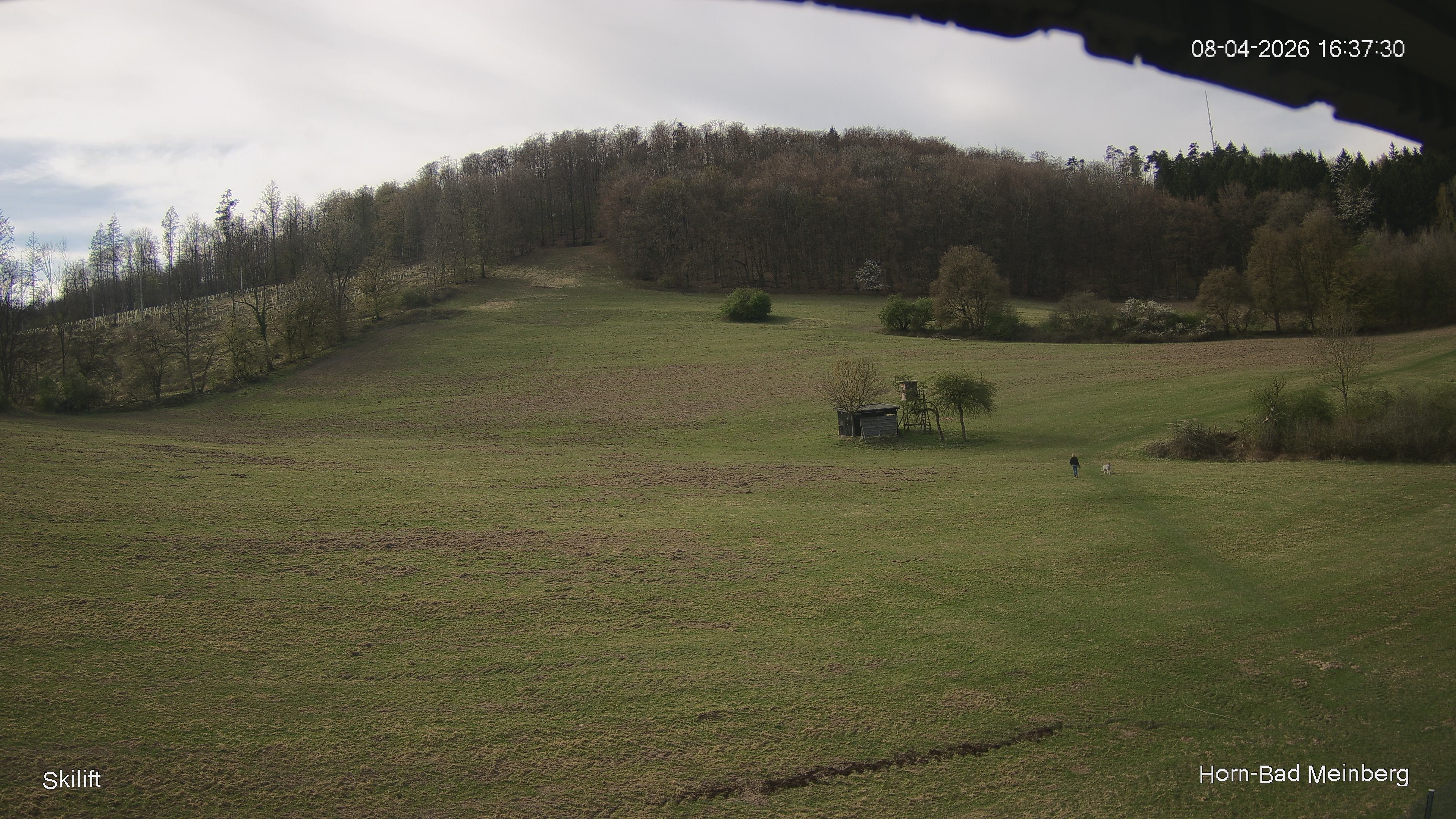 Archiv Foto Webcam Skilift Horn-Bad Meinberg