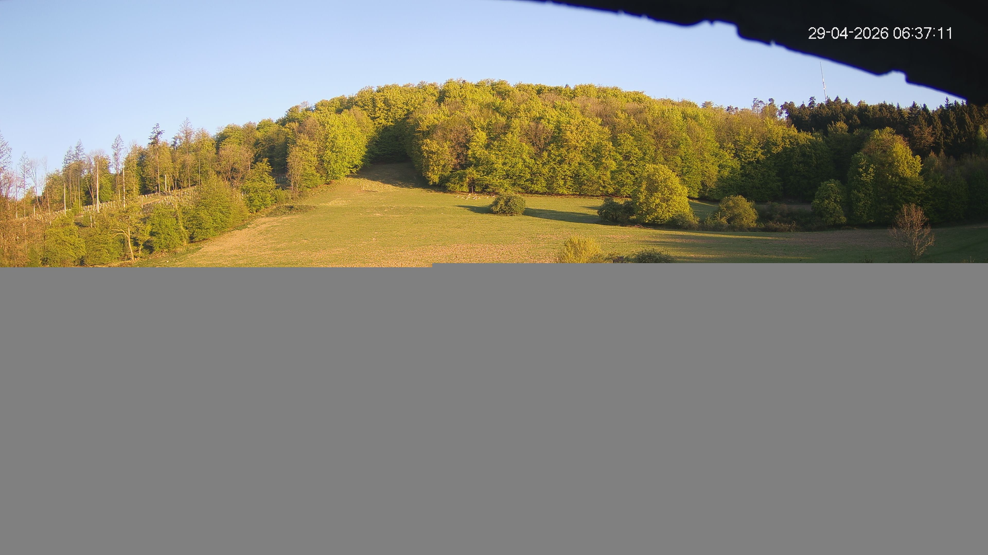 Archiv Foto Webcam Skilift Horn-Bad Meinberg