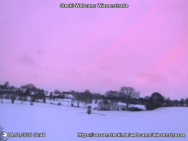 Archiv Foto Webcam Delingsdorf Wiesenstraße