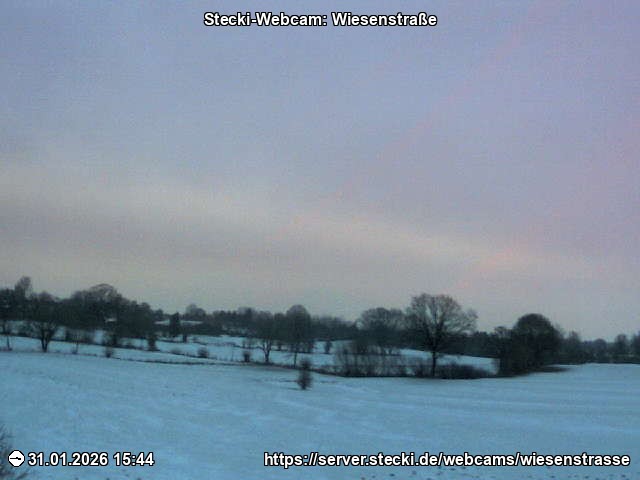 Archiv Foto Webcam Delingsdorf Wiesenstraße