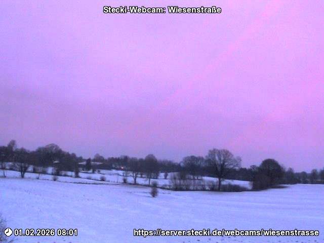 Archiv Foto Webcam Delingsdorf Wiesenstraße