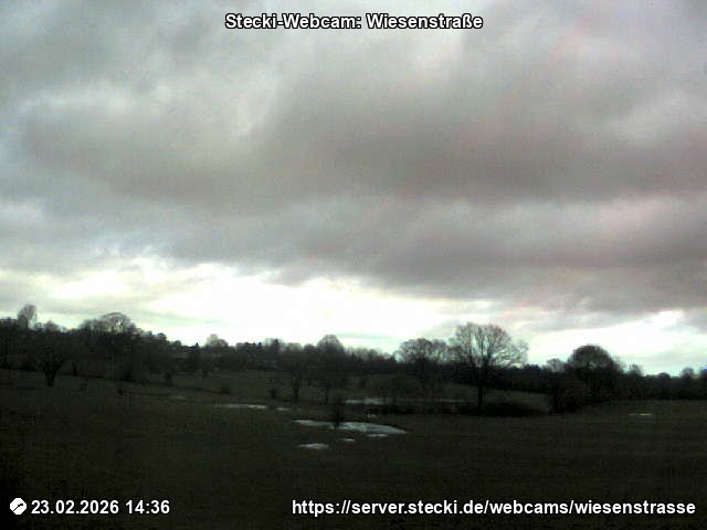 Archiv Foto Webcam Delingsdorf Wiesenstraße