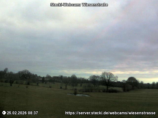 Archiv Foto Webcam Delingsdorf Wiesenstraße