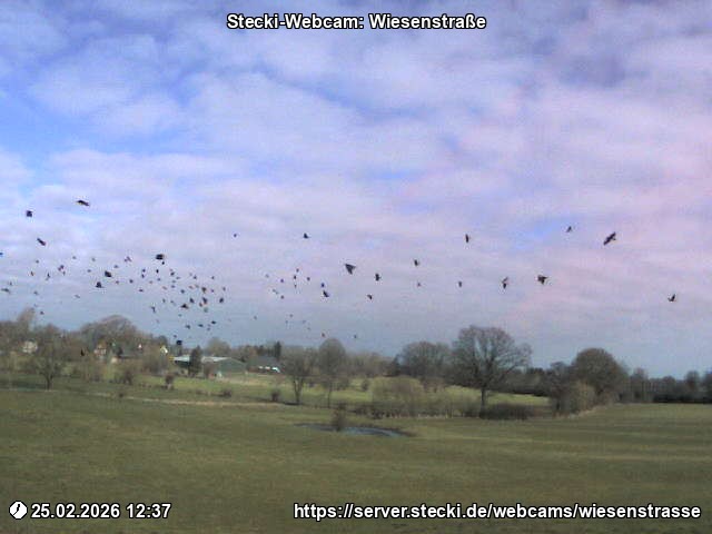 Archiv Foto Webcam Delingsdorf Wiesenstraße