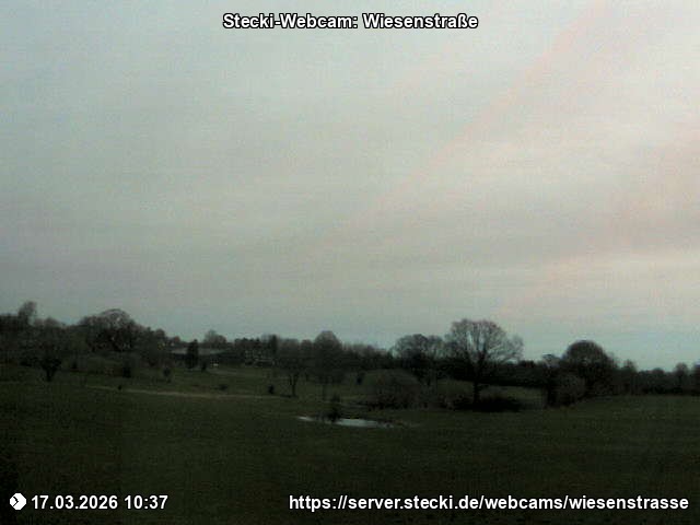 Archiv Foto Webcam Delingsdorf Wiesenstraße